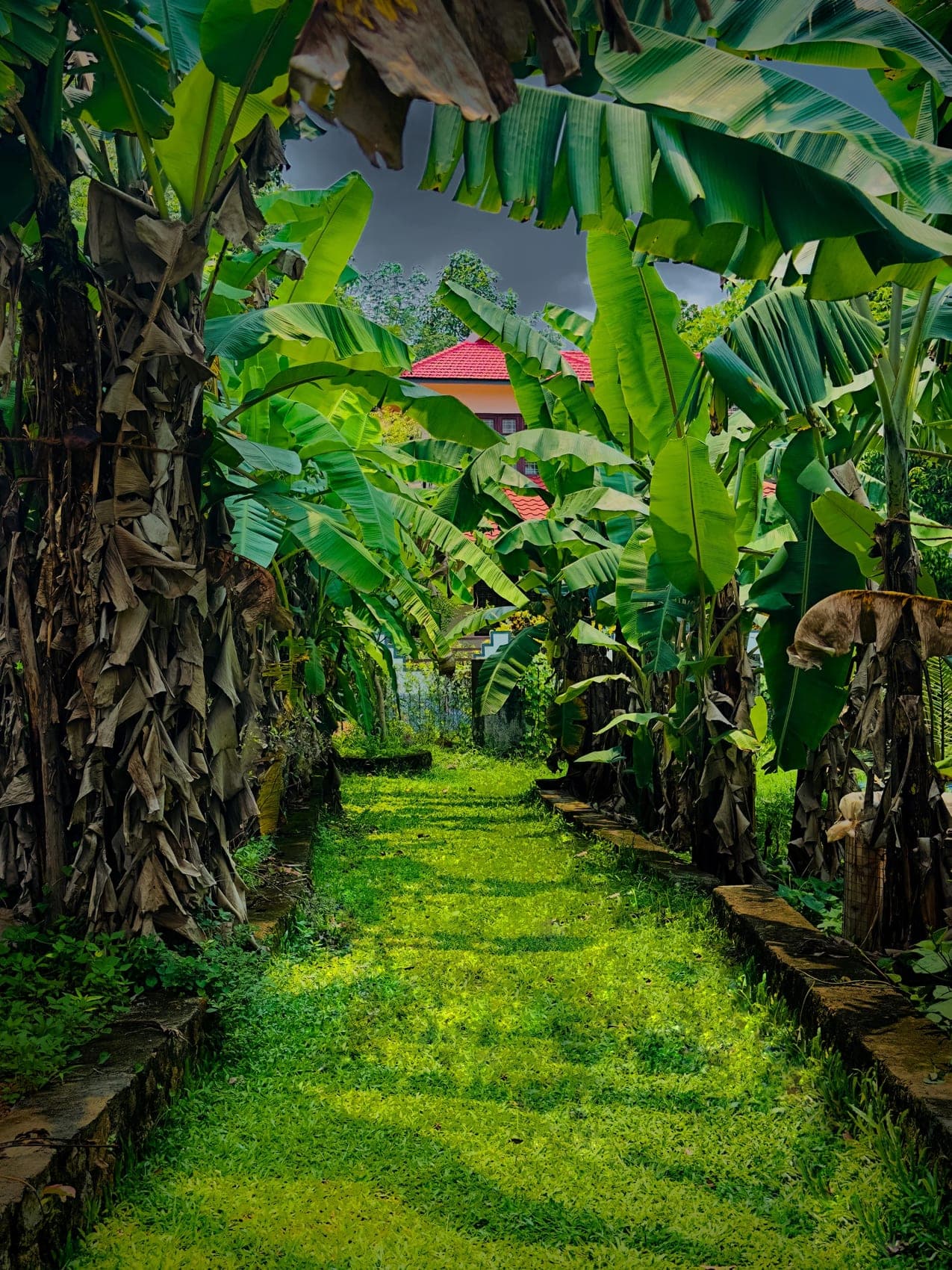 Into the green