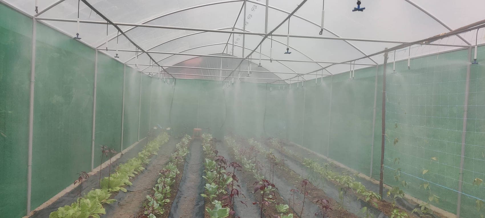 The nursery