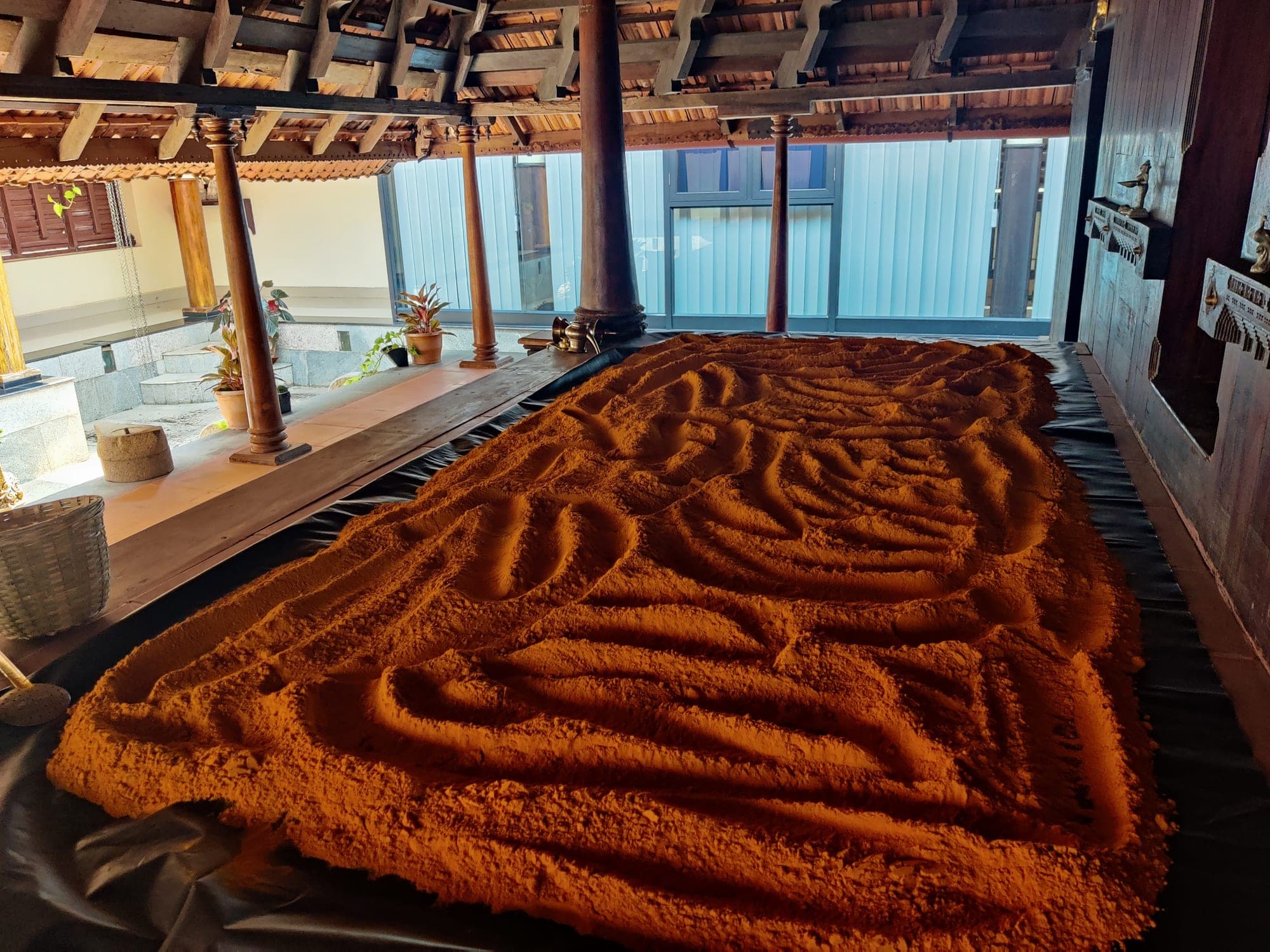 Turmeric, sun-drying