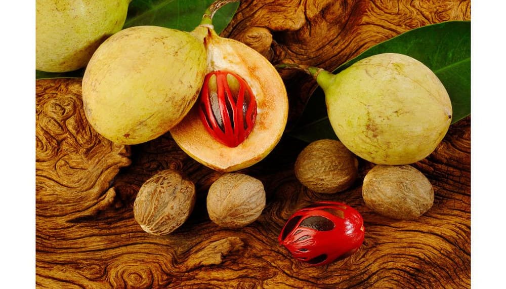 Nutmeg